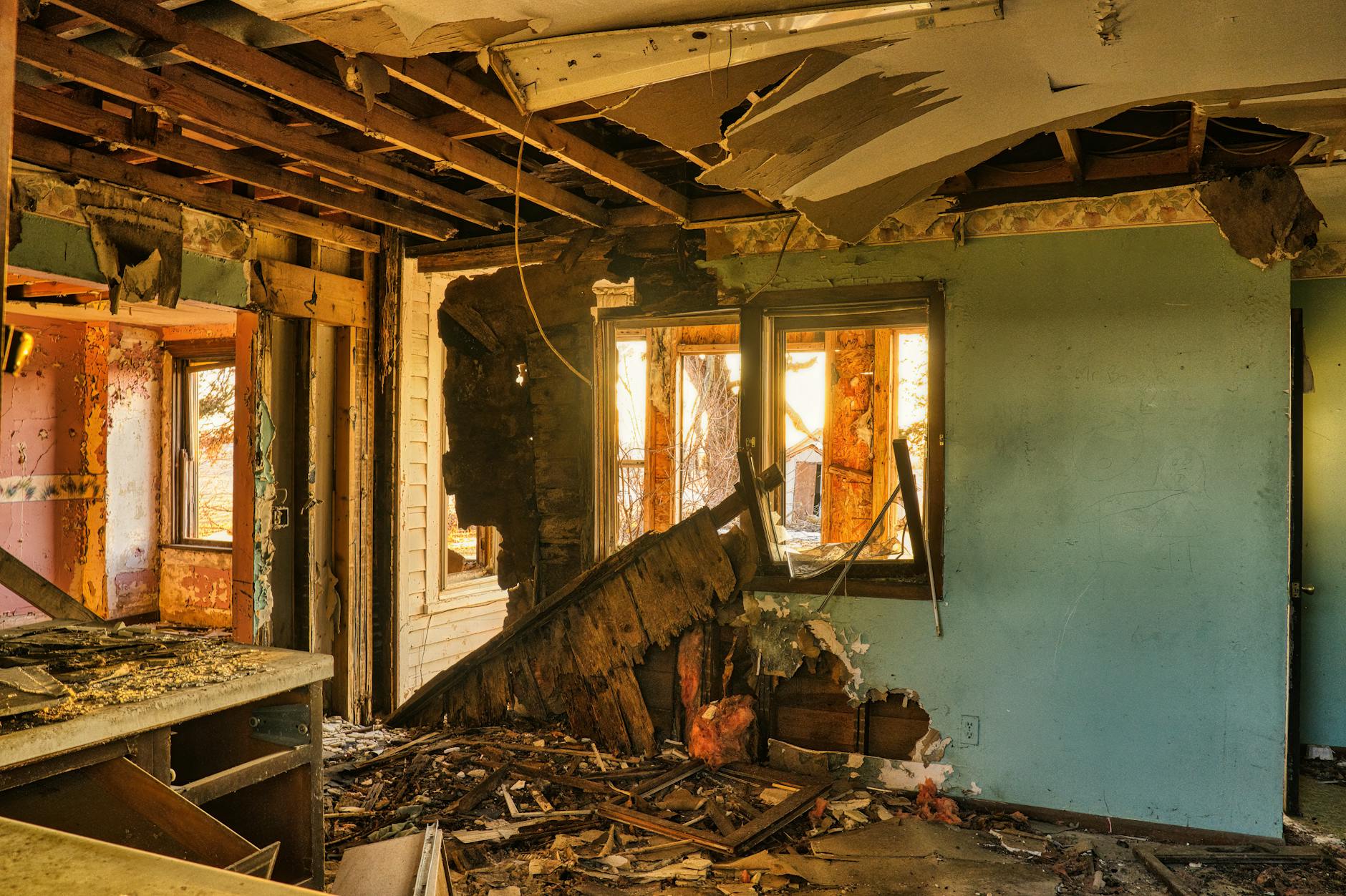 Lakeland's Leading Mold Removal & Remediation Company — Tampa, FL
